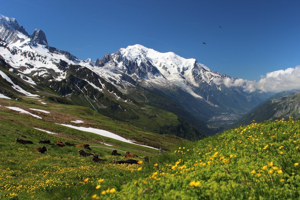 Tour du Mont Blanc, Trekking Alpen