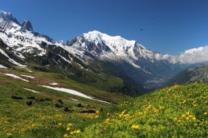 Tour du Mont Blanc, Trekking Alpen