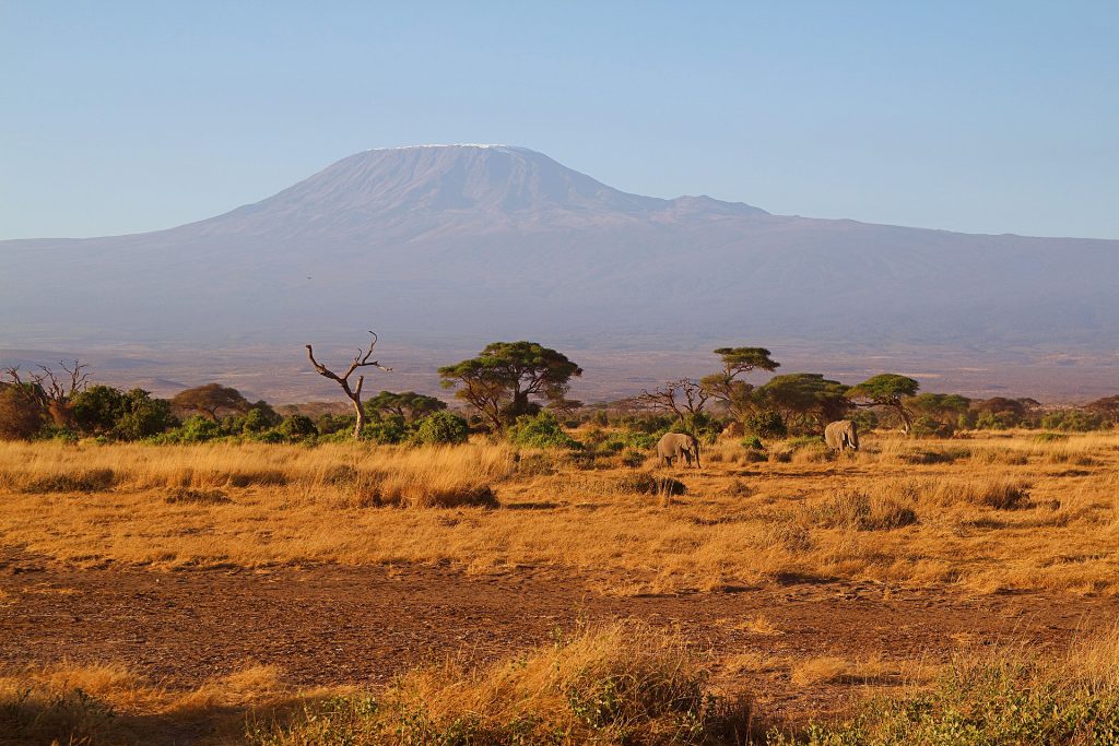 Kilimanjaro - höchster Berg Afrikas