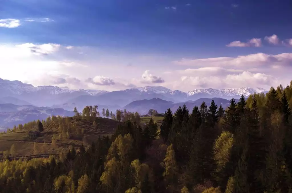 Wanderung: Dorfleben in den transsilvanischen Karpaten von Active Travel