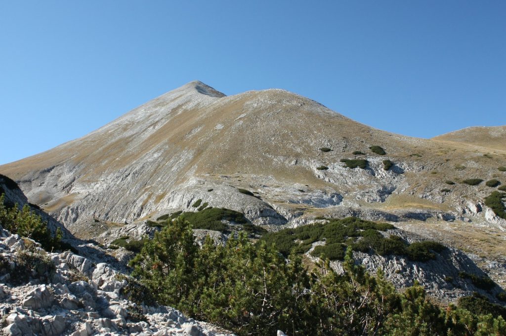 Kutelo Berg Pirin Gebirge