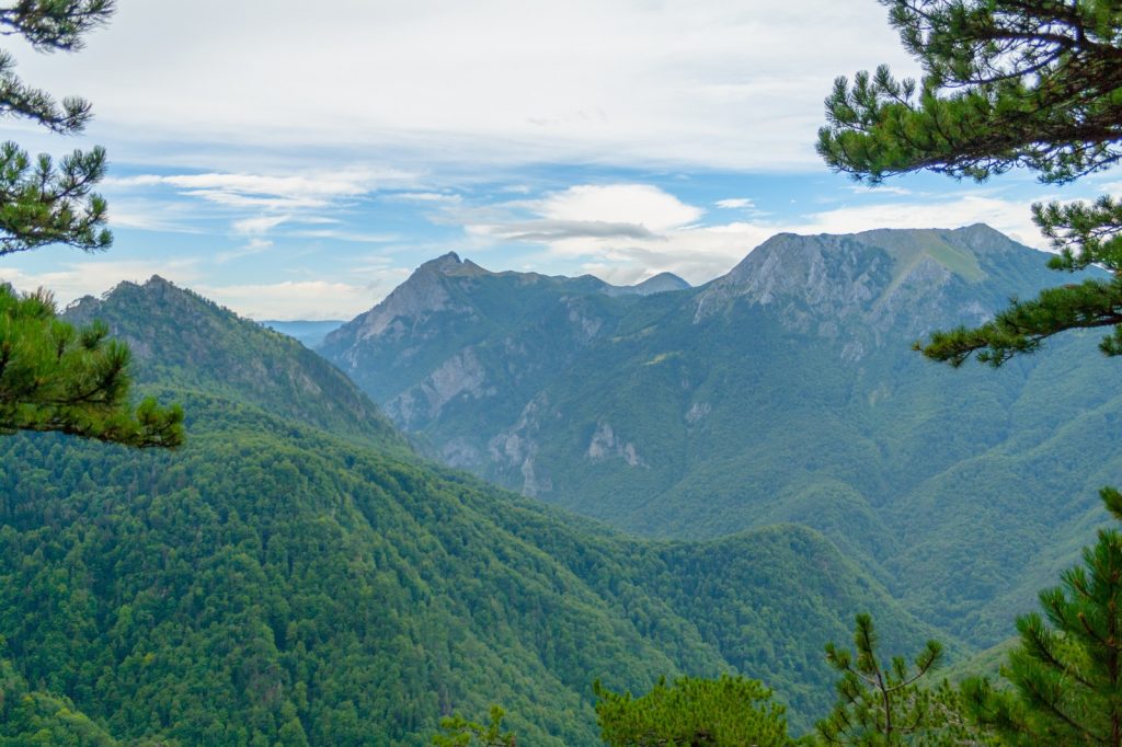 Perucica Sutjeska National Park​ Bosnien