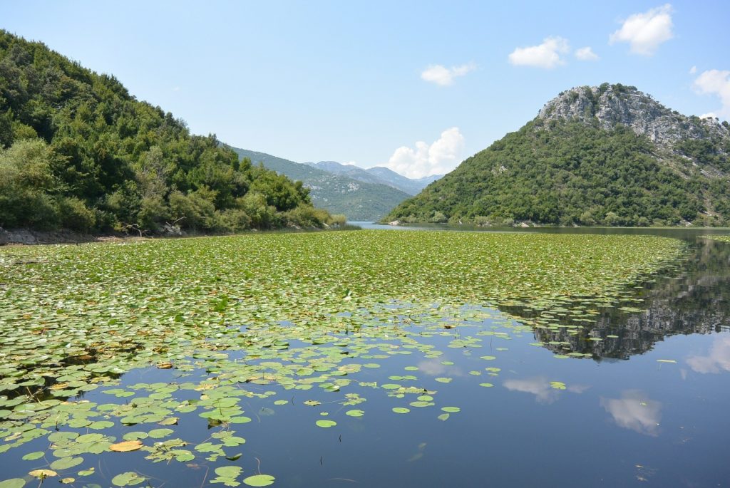 Skadar Lake Montenegro